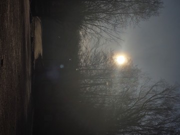 Czyszczenie budek lęgowych na terenie Parku Krajobrazowego Wzniesień Łódzkich, 